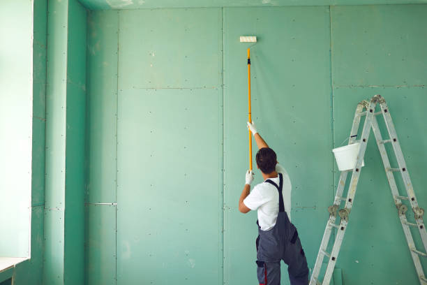Best Comprehensive Air Testing for Mold Contaminants  in Cloquet, MN