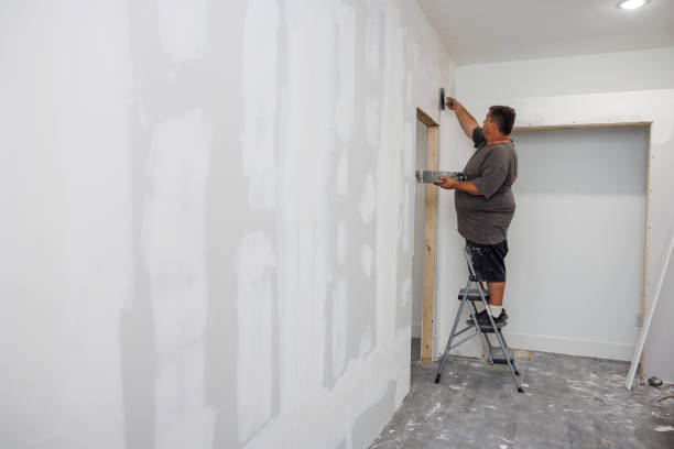 Best Mold Odor Removal Services  in Cloquet, MN