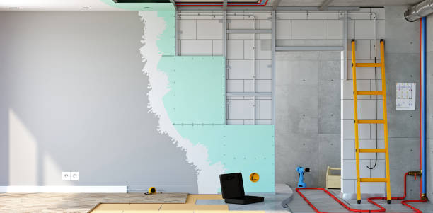 Best Mold Documentation for Insurance Claims  in Cloquet, MN