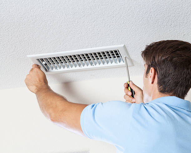 Best Mold-Related Health Consultation  in Cloquet, MN