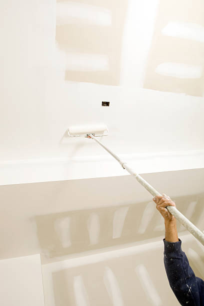 Best Commercial Mold Inspection  in Cloquet, MN