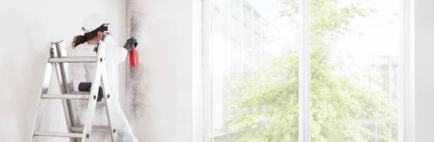 Best Mold-Related Health Consultation  in Cloquet, MN