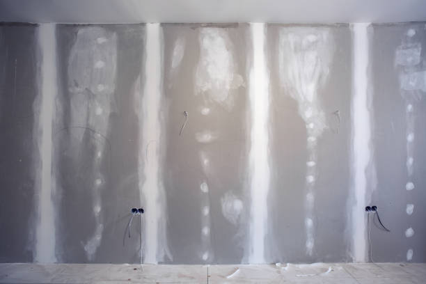 Trusted Cloquet, MN Mold Removal Experts